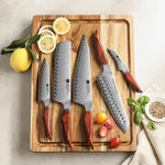 XINZUO Xing Series 73-Layer Powder Damascus Steel 5PCS Knife Set, For Chinese & Western Cooking