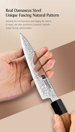 XINZUO PM8 Series 67 Layers Damascus Powder Steel Utility Knife 5.3 inches