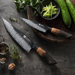XINZUO 2-Piece Knife Set, 67 Layers Black Damascus Steel Chef Knife and Kitchen Utility Knife with  Burnt Oak Handle MO-Series