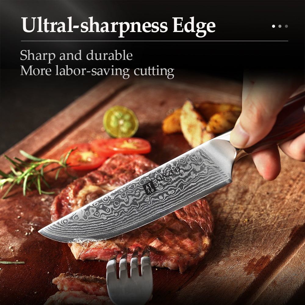 XINZUO 5 Inches Steak Knife - 67 Layers Damascus Steel Blade, Premium Rosewood Handle, Razor Sharp Kitchen Knife,