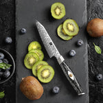 XINZUO 4.5 Inches Paring Knife M390 Damascus Chef Knife | 145 Layers Forged Blade & Carbon Fiber Handle
