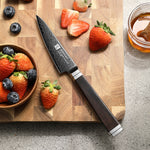 XINZUO Ji Series 4.1 Inches Sharp Paring Knife 67 Layers Damascus Steel Hand-forged Kitchen Knife