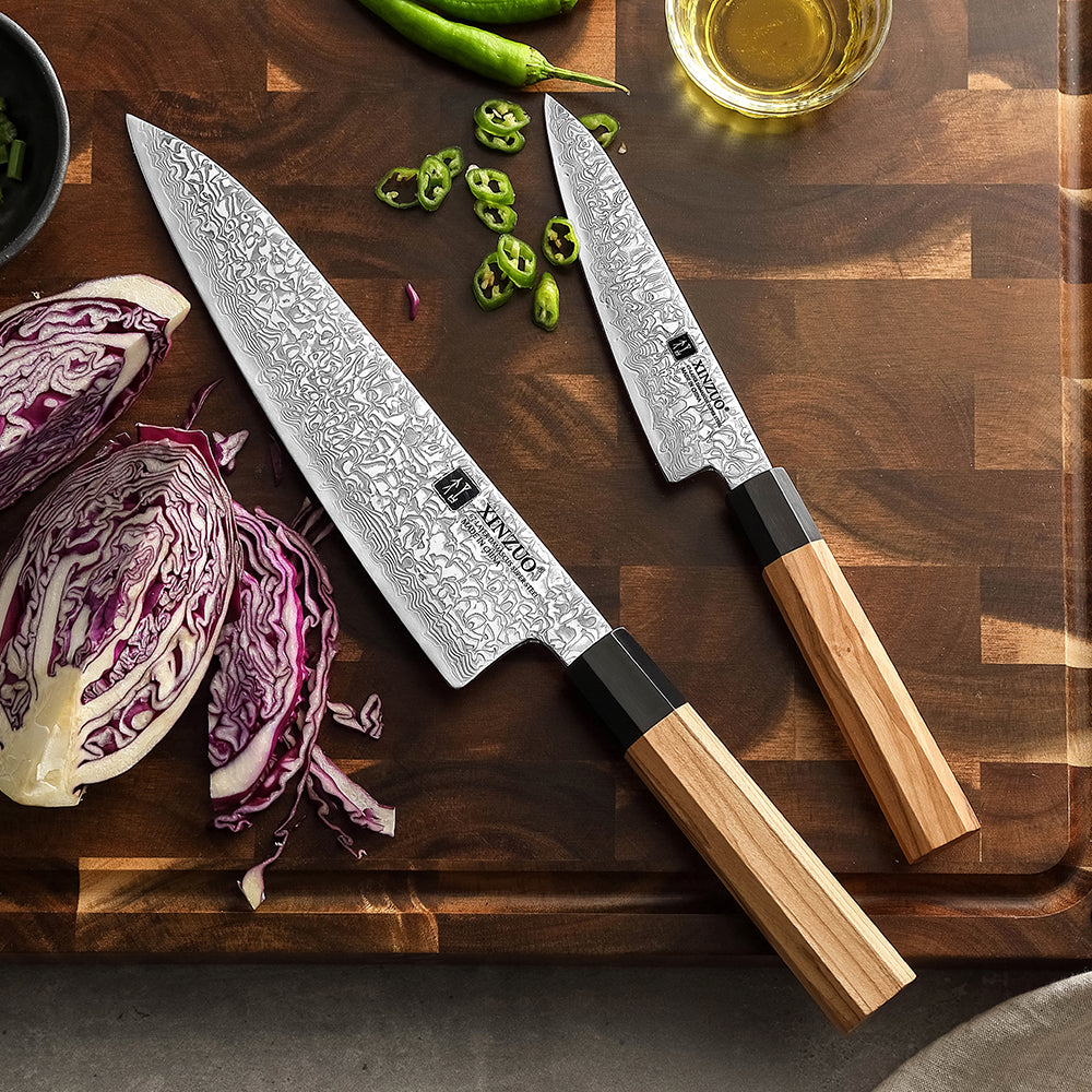 XINZUO 2PCS Knife Set, 67 Layers Damascus Steel Kitchen Knives, 10Cr15CoMoV Steel Core, Ergonomic Handle, Multipurpose Prepping Knives