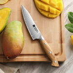 XINZUO 5.3 Inches Kitchen Utility Knife - Triple-Layer Composited Steel with Olive Wood Handle, Razor Sharp & Ergonomic Design-PIN Series