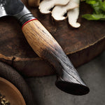 XINZUO 5.9 Inch Viking Knife 67 Layers Damascus Steel with Burnt Oak Handle – Norse-Inspired Tactical & Outdoor Utility Knife
