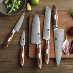 XINZUO 5-Piece 110 Layers Damascus Steel Kitchen Knife Set-Jiang Series