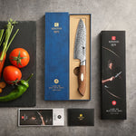 XINZUO 5.5 Inches 67 Layers Japanese AUS-10 Damascus Steel Santoku Knife-Jiang Series