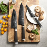 XINZUO Ji Series High Carbon Steel 3PCS Knife Set 67 Layers Damascus Steel Utility+Santoku+Bunka Knife,Kitchen Utensils