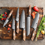XINZUO 6-Piece 67 Layers Japanese AUS-10 Damascus Steel Kitchen Knife Set-Jiang Series