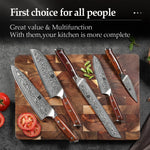 XINZUO 5-Piece 67 Layers Damascus Knife Set—Core Hardness 60±2HRC, Ultra-Sharp Kitchen Knives for Home Chefs & Daily Meal Prep