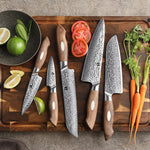 XINZUO 5-Piece 67 Layers Japanese AUS-10 Damascus Steel Kitchen Knife Set-Jiang Series
