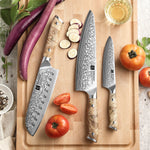 XINZUO 3PCS Damascus Knife Set 67-Layer Custom Forged Steel Ultra-Sharp 15° Edge - for Meat Vegetables Fruit