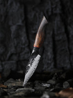 XINZUO 4 Inches 67 Layers Black Damascus Steel Paring Knife with  Burnt Oak Handle MO-Series