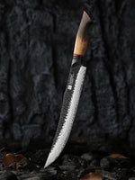 XINZUO 10 Inch Carving Knife 67 Layers Damascus Steel with Burnt Oak Handle - Precision Slicing Knife for Meat, Poultry & Roasts