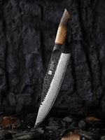 XINZUO Customized 67 Layers Damascus Steel 10.2 Inches Chef Knife Hardness 60±2HRC Household Kitchen Knife