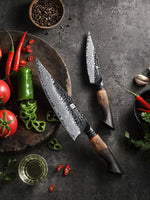 XINZUO 2-Piece Knife Set, 67 Layers Black Damascus Steel Chef Knife and Kitchen Utility Knife with  Burnt Oak Handle MO-Series