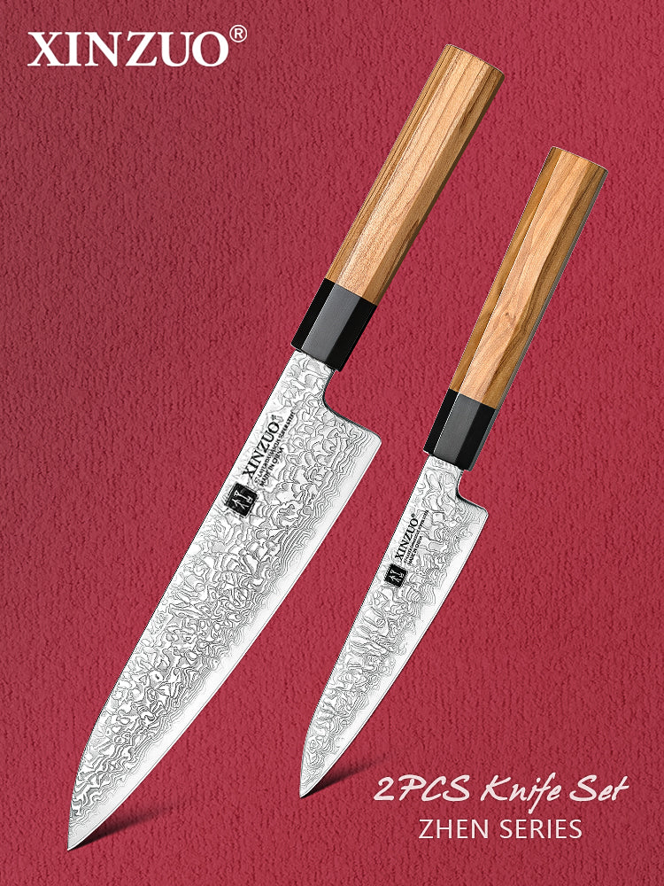 XINZUO 2PCS Knife Set, 67 Layers Damascus Steel Kitchen Knives, 10Cr15CoMoV Steel Core, Ergonomic Handle, Multipurpose Prepping Knives