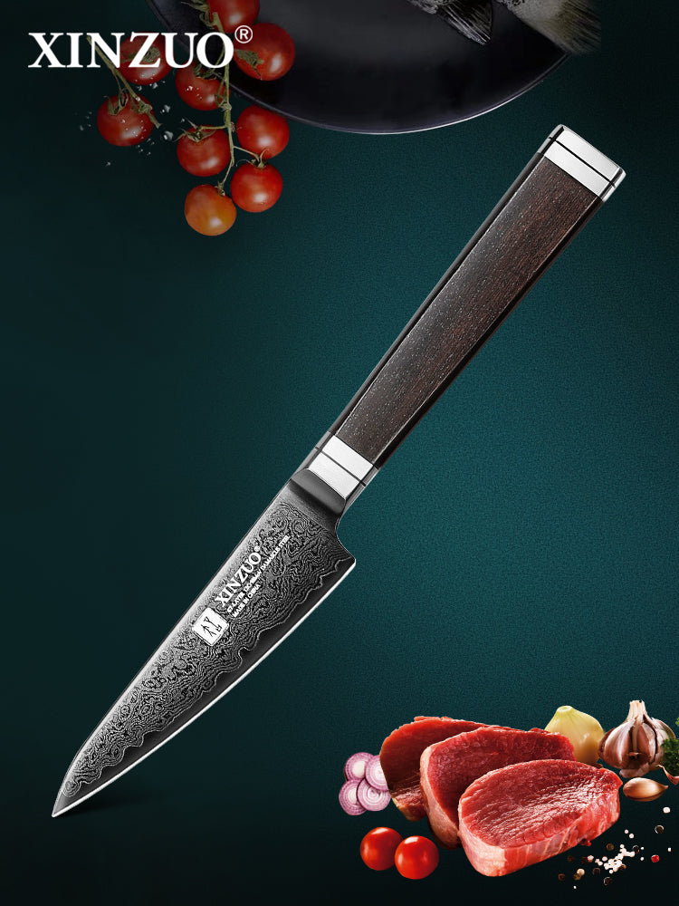 XINZUO Ji Series 4.1 Inches Sharp Paring Knife 67 Layers Damascus Steel Hand-forged Kitchen Knife