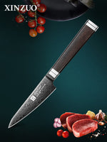 XINZUO Ji Series 4.1 Inches Sharp Paring Knife 67 Layers Damascus Steel Hand-forged Kitchen Knife
