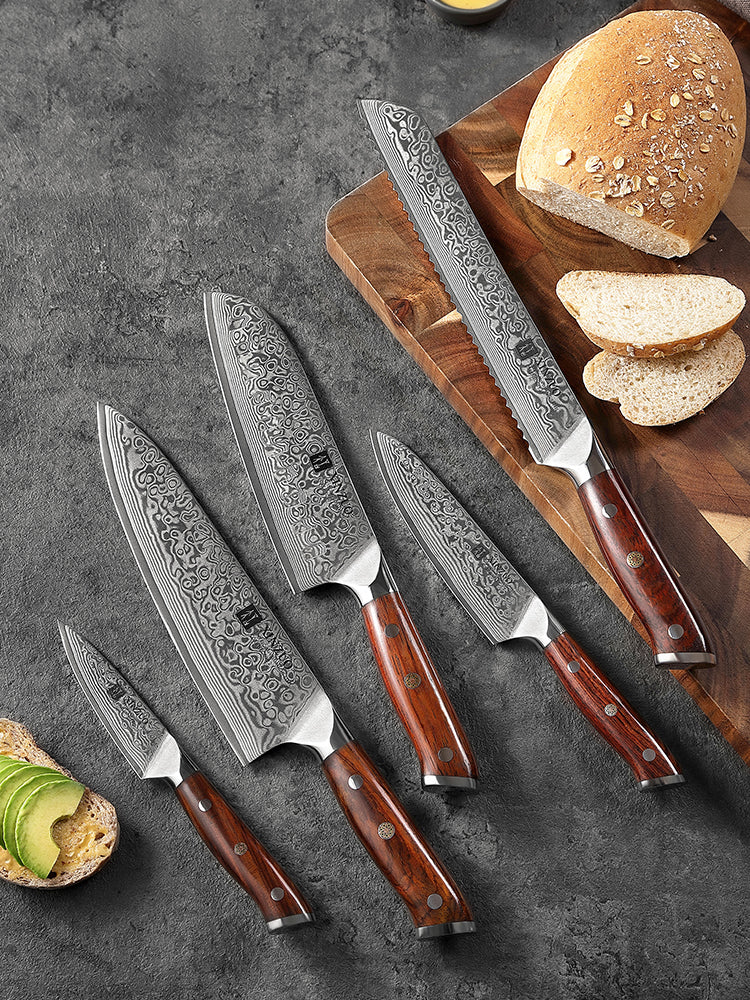 XINZUO 5-Piece 67 Layers Damascus Knife Set—Core Hardness 60±2HRC, Ultra-Sharp Kitchen Knives for Home Chefs & Daily Meal Prep