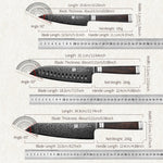 XINZUO Ji Series High Carbon Steel 3PCS Knife Set 67 Layers Damascus Steel Utility+Santoku+Bunka Knife,Kitchen Utensils