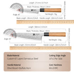 XINZUO 2PCS Knife Set, 67 Layers Damascus Steel Kitchen Knives, 10Cr15CoMoV Steel Core, Ergonomic Handle, Multipurpose Prepping Knives