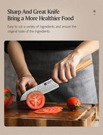 XINZUO PM8 Series 67 Layers Damascus Powder Santoku Knife 5.5 inches