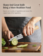 XINZUO PM8 Series 67 Layers Damascus Powder Steel Paring Knife 4 inches