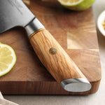 XINZUO Lan Series 73 Layers Damascus Powder Steel 5PCS Knife Set