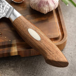 XINZUO 5-Piece 67 Layers Japanese AUS-10 Damascus Steel Kitchen Knife Set-Jiang Series