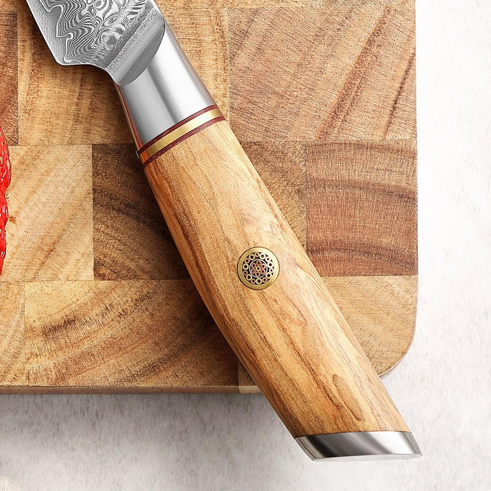 XINZUO Lan Series 73 Layers Damascus Powder Steel 3.5 inchs Paring Knife