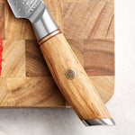 XINZUO Lan Series 73 Layers Damascus Powder Steel 3.5 inchs Paring Knife