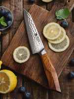 XINZUO FENG STRIA HAMMER DAMASCUS SERIES 5'' inch Utility Knife