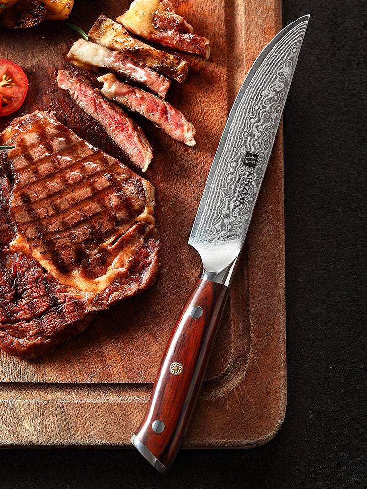 XINZUO 5 Inches Steak Knife - 67 Layers Damascus Steel Blade, Premium Rosewood Handle, Razor Sharp Kitchen Knife,