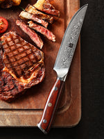 XINZUO 5 Inches Steak Knife - 67 Layers Damascus Steel Blade, Premium Rosewood Handle, Razor Sharp Kitchen Knife,