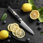 XINZUO 4.5 Inches Paring Knife M390 Damascus Chef Knife | 145 Layers Forged Blade & Carbon Fiber Handle