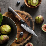 XINZUO 4 Inches 67 Layers Black Damascus Steel Paring Knife with  Burnt Oak Handle MO-Series