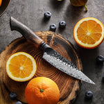 XINZUO 5.6 Inches 67 Layers Black Damascus Steel Kitchen Utility Knife with  Burnt Oak Handle MO-Series