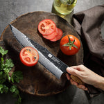 XINZUO Customized 67 Layers Damascus Steel 10.2 Inches Chef Knife Hardness 60±2HRC Household Kitchen Knife