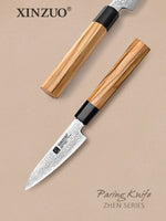 XINZUO PM8 Series 67 Layers Damascus Powder Steel Paring Knife 4 inches