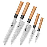 XINZUO 5-Piece Complete Kitchen Knife Set, Custom 67 Layer Damascus Steel Blade,Olive Wood Handle, For Home Daily Food Prep