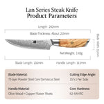 XINZUO Lan Series 73 Layers Damascus Powder Steel Steak Knife