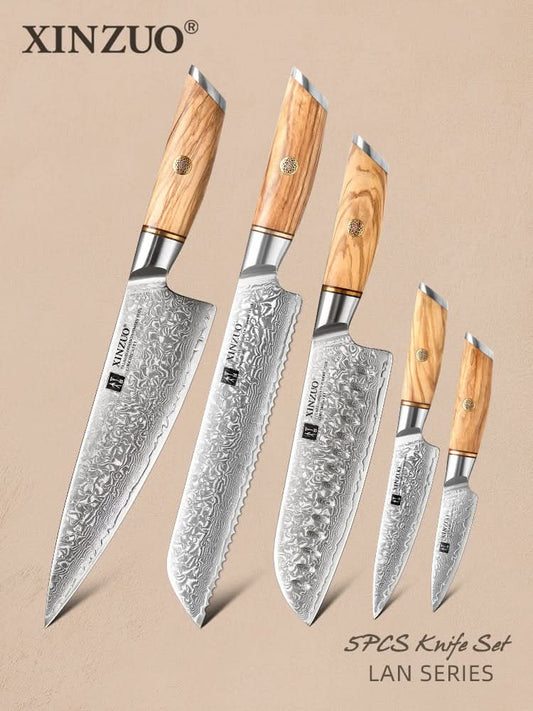 XINZUO Lan Series 73 Layers Damascus Powder Steel 5PCS Knife Set