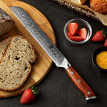 XINZUO YU SERIES 9'' inch Serrated Knife