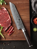 XINZUO HE SEIRES 8.5 inch Gyuto Knife