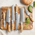 XINZUO Lan Series 73 Layers Damascus Powder Steel 6PCS Knife Set