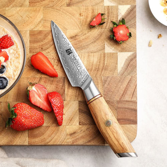 XINZUO Lan Series 73 Layers Damascus Powder Steel 3.5 inchs Paring Knife