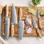 XINZUO Lan Series 73 Layers Damascus Powder Steel 5PCS Knife Set