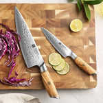 XINZUO Lan Series 73 Layers Damascus Powder Steel 2PCS Knife Set