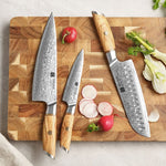 XINZUO Lan Series 73 Layers Damascus Powder Steel 3PCS Knife Set
